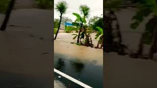 Download lagu Banjir Bandang Suangai Cibuni Kadupandak #cianjurselatan #kadupandak #banjir mp3