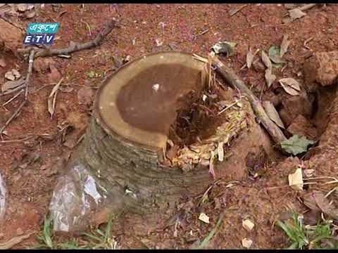 সোহরাওয়ার্দী উদ্যানে গাছ কাটা ও রেষ্টুরেন্ট স্থাপনের উদ্যোগের বিরুদ্ধে শিগগির আইনী পদক্ষেপ |ETV News