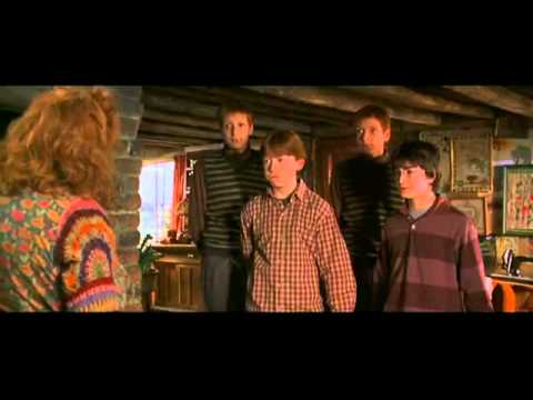 The Wrath of Mrs Weasley!! - Harry Potter and the Chamber of Secrets