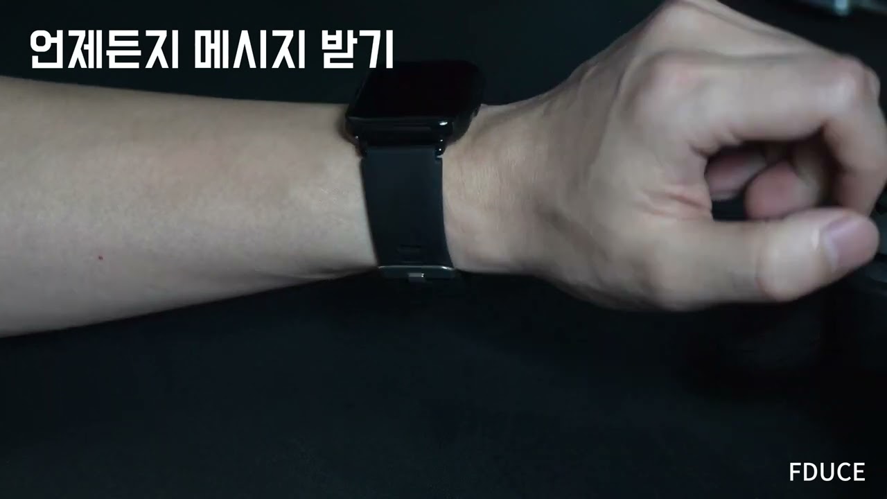 FDUCE Z169 스마트 워치