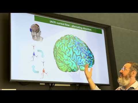 Oscillations mechanisms of transcranial Current Stimulation (tACS) -  Part 1 tACS basics