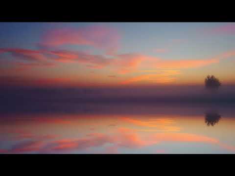 Gonca Varol -  Miss You