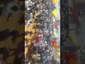 Melapalur Jallikattu 4