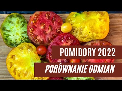 , title : 'Pomidory 2022. Porównanie odmian pomidorów z ostatniego sezonu/ OTWIERAMY SEZON 2023'