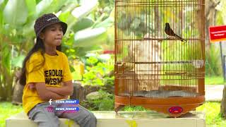 Download lagu [FULL] Seni Peniru Suara Dan Kekuatan Gigitan | SI OTAN (20/04/21) mp3