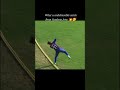 What a catch by sandip jora. One of the best batsman and fielder of Nepali cricket. #nepalicricket