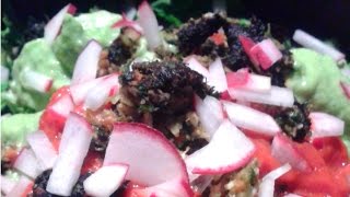 What I Ate On A Raw Food Diet At Christmas | 40BelowFruity