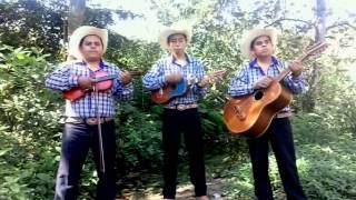 UN POBLANO EN NEW YORK: TRIO DESTELLO HIDALGUENSE