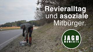 Revierleben | Hochwasser, Müll und Rehe