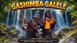 GASHIMBA GALELE JIMINOGENI DOTO UJUMBE WA MASHAURI 2026 BY MSAMBAZAJI LUFUNZA MANYANDA 