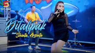 Download lagu Shinta Arsinta ft. Om Nirwana - Ditalipak ( Live  Sik Asik) mp3