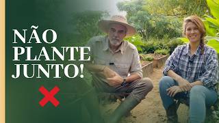 Nunca plante essas plantas juntas