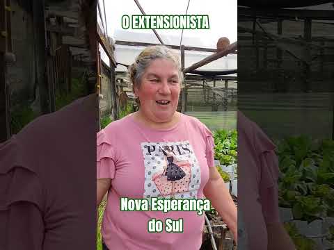 Agricultura urbana em Nova Esperança do Sul #roça #horticulture