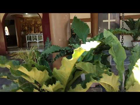 Happy Wedding Yosua Febry Valentino  & Wita Victoria Tampubolon. From : Tokyo Boeki Materials Ltd.