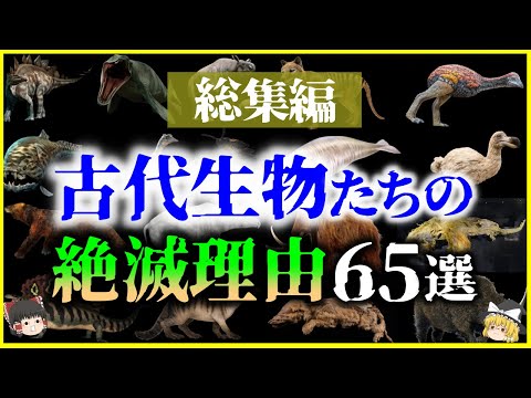 最古の生物?証拠は年齢が約8億9千万年であることを示している