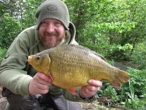 Crucian Carp Tackle and Tactics