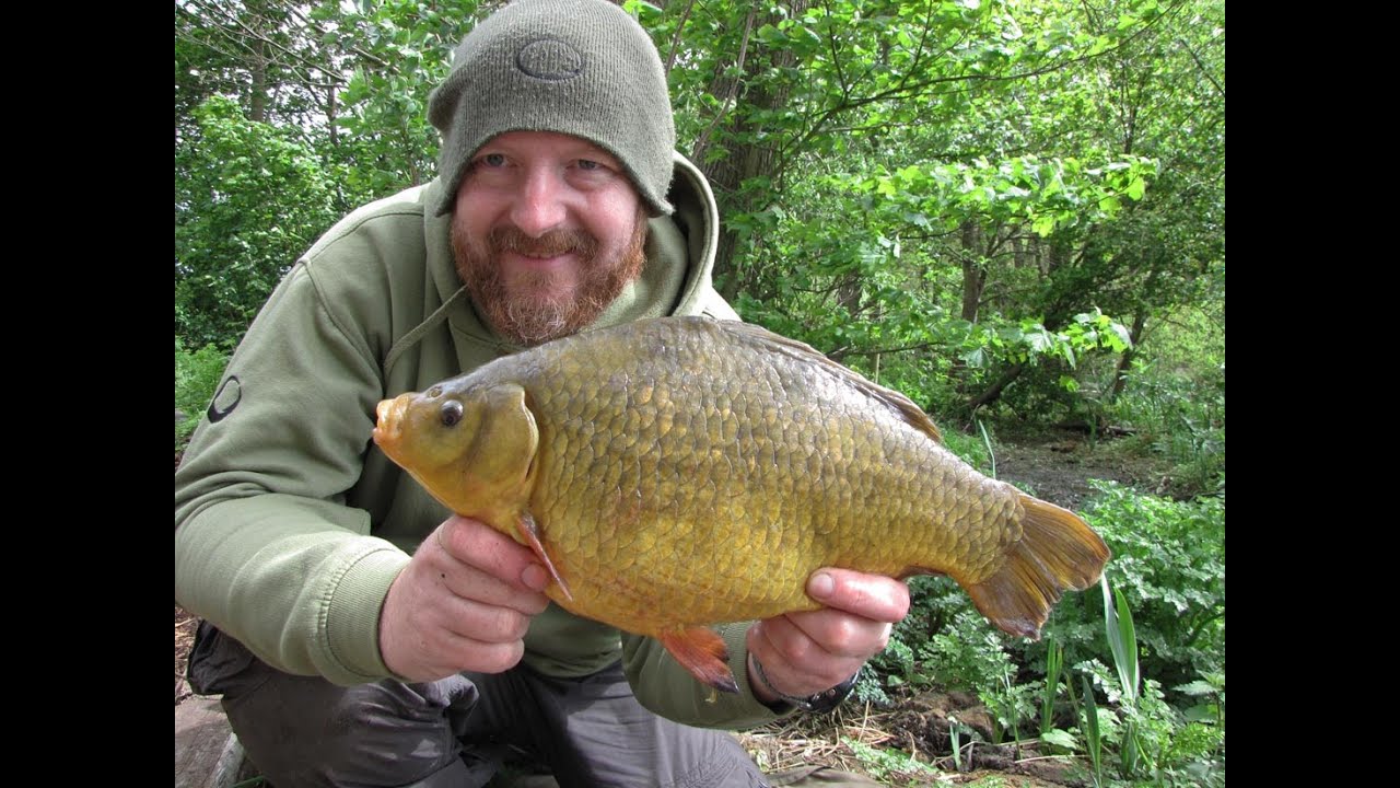 Crucian Carp Tackle and Tactics