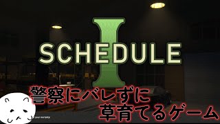 【Schedule Ⅰ】じんわりわかってきたよ、このゲームのことが【配信】