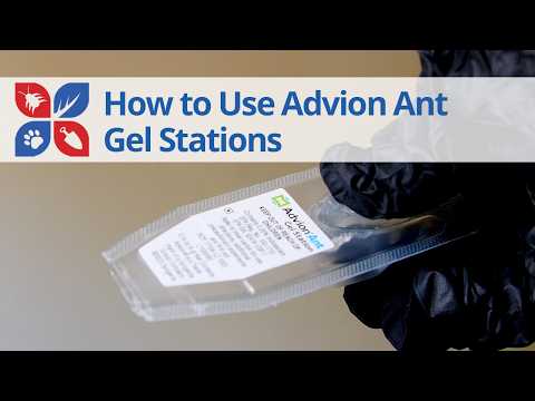  How to Use Advion Ant Gel Stations Video 