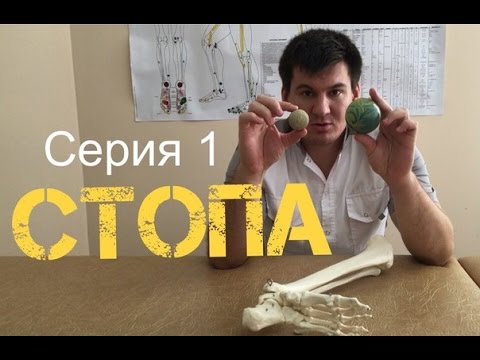 Шум в голове от грыжи в шейном отделе Подмор пчелиный суставы