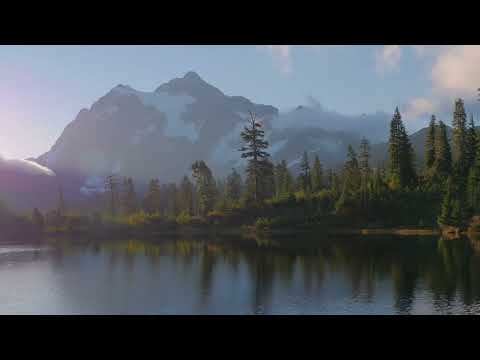 8 Hours of Birds Singing on the Lakeshore and Water Sounds - Relaxing Nature Sounds - Mount Shuksan
