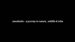 preview picture of video 'Jawai - A journey to nature , wildlife and tribe'
