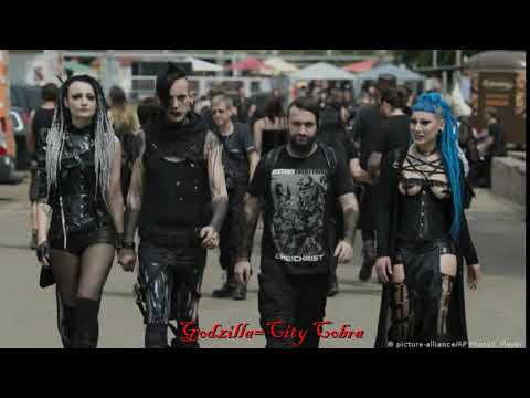 Solitary Experiments Vs. Feindflug - Seele Bricht