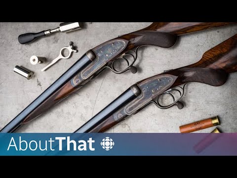 Why is Bill C-21 so complicated and contentious?