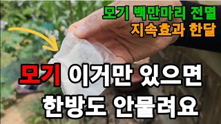 모기! 이거 한장이면 100만마리 소리없이 전멸! #모기퇴치제 # #지쎈하이진 #모기가좋아하는환경 #모기약 …