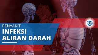 Septikemia, Infeksi yang Terjadi di Aliran Darah