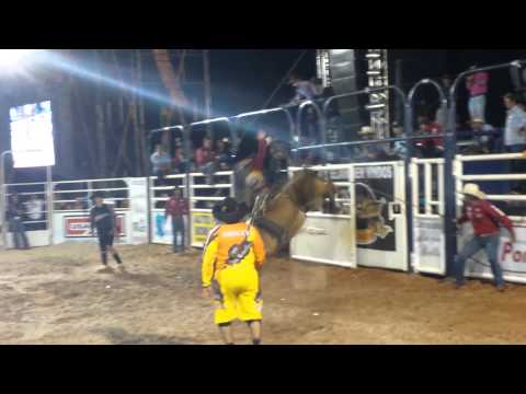 Allan Moraes x Fora da lei Cia Scanacapra