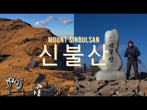 Seeing the silver grass in the Korean Alps and a museum that looks like a whale