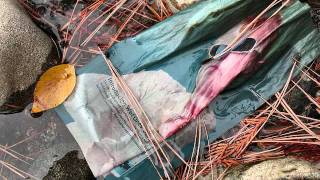 Goetzinger sings Boleyn - O Death, rock me asleep