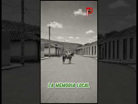 Asfaltado Calles de Pedregal #pedregaltv #falcon #venezuela #ecoturismo #aventuras