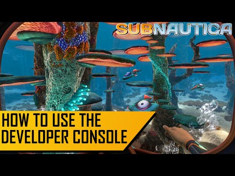 SUBNAUTICA | How To Use Console Commands