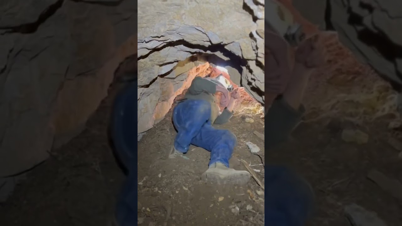 Digging into an old gold mine in New Mexico