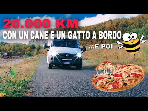 GIOIA E DOLORI DEL VIAGGIARE IN CAMPER CON AMIMALI 👉🏻 🥳 ASSALITI DALLE API 🐝 E PIZZA 🍕