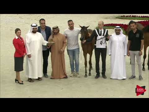 N 4 JA MOBHERA ALJAZEERA   Sharjah International 2019