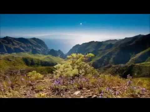 Até O Fim video