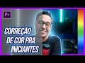 COMO FAZER CORREÇÃO DE COR Pra Vídeos DO ZERO Color Grading Pra Iniciantes