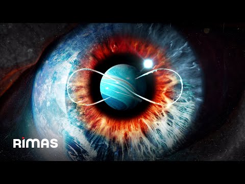 El Coyote, Alex Gárgolas - Forever The Show (Visualizer Oficial)