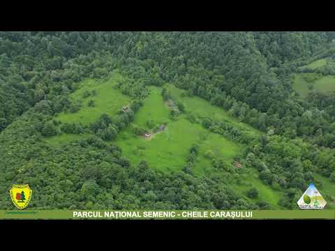 Poiana Prolaz din Cheile Carașului !