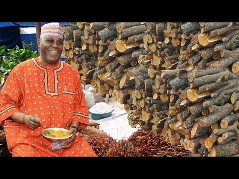 Atiku Abubakar Sells Firewood as an Orphan