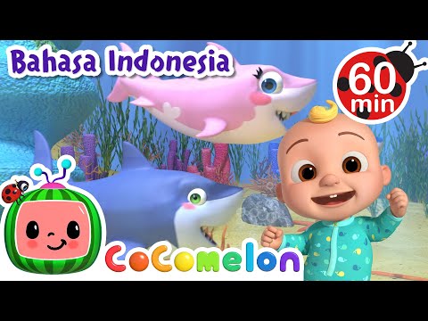 🦈Bayi Hiu Bermain Petak Umpet🦈 | CoComelon Bahasa Indonesia - Lagu Anak Anak | Nursery Rhymes