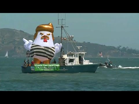 شاهد "دجاجة ترامب" تتجول في سان فرانسيسكو