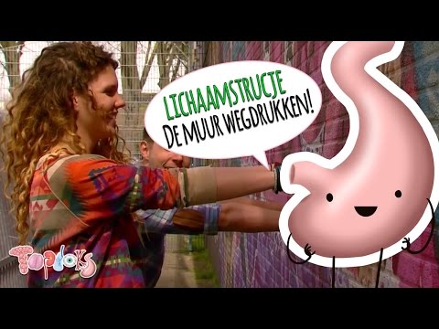 ELBERT DUWT DE MUUR WEG? - LICHAAMSTRUCJE