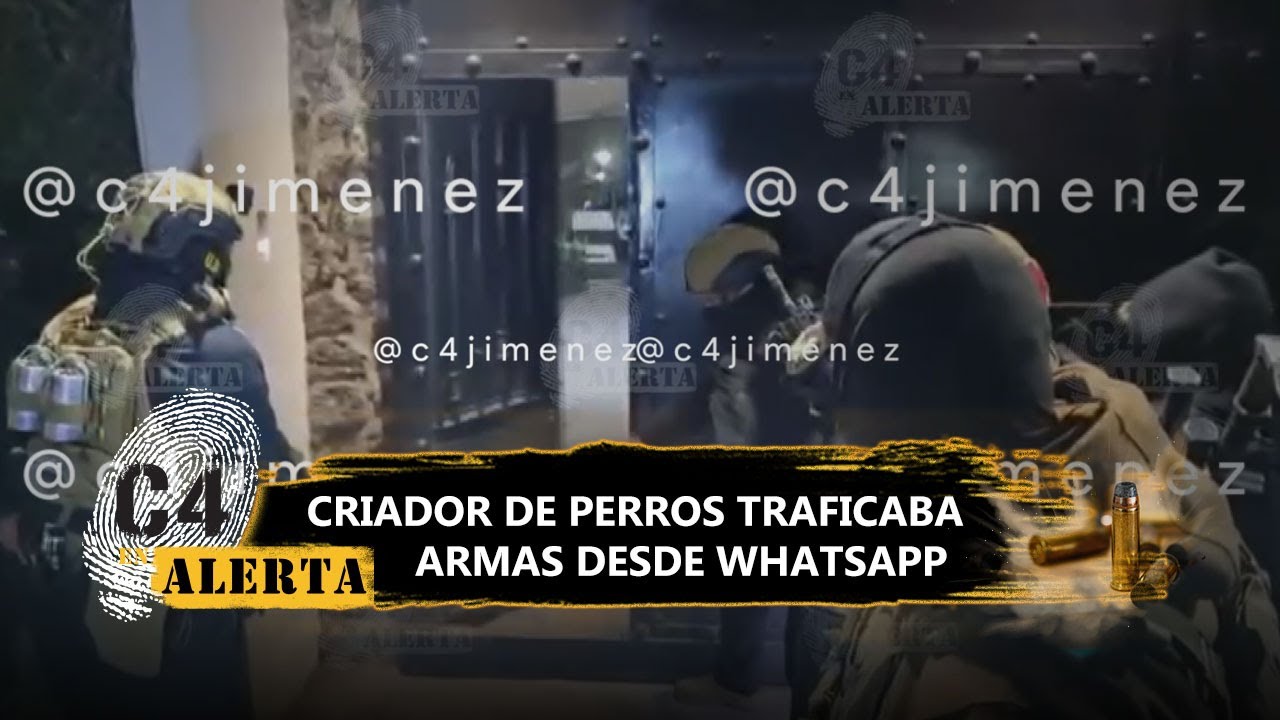 Nacen perritos durante operativo en Xochimilco; hallaron armamento y drogas del Cártel de Sinaloa