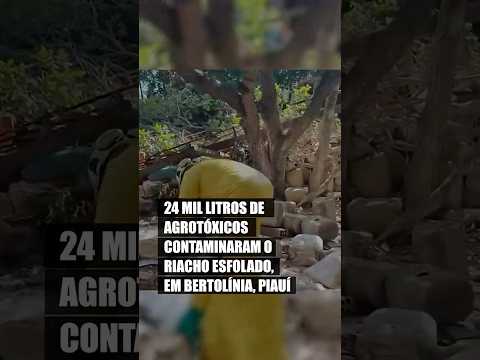 Derramamento de 24 mil litros de agrotóxicos no PI pode contaminar balneário da região.