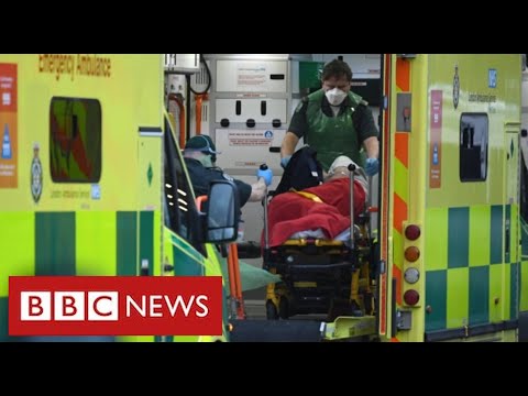 科學家呼籲更嚴格的封鎖，英國8萬名科維德死亡 - BBC News (80,000 Covid deaths in UK as scientists call for stricter lockdown - BBC News)