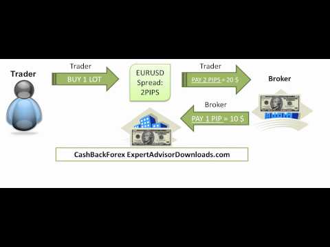 Reba and commission free forex